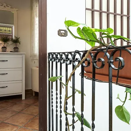 아파트 Attico Finocchiaro - Terrazza In Centro Wifi Free 팔레르모