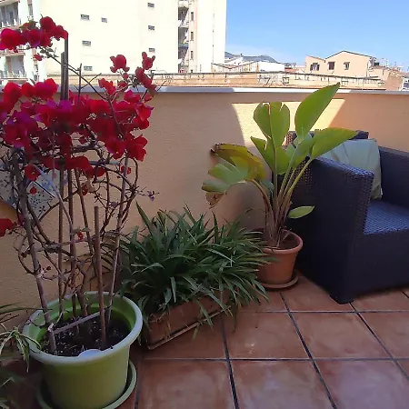 Apartment Attico Finocchiaro - Terrazza In Centro Wifi Free